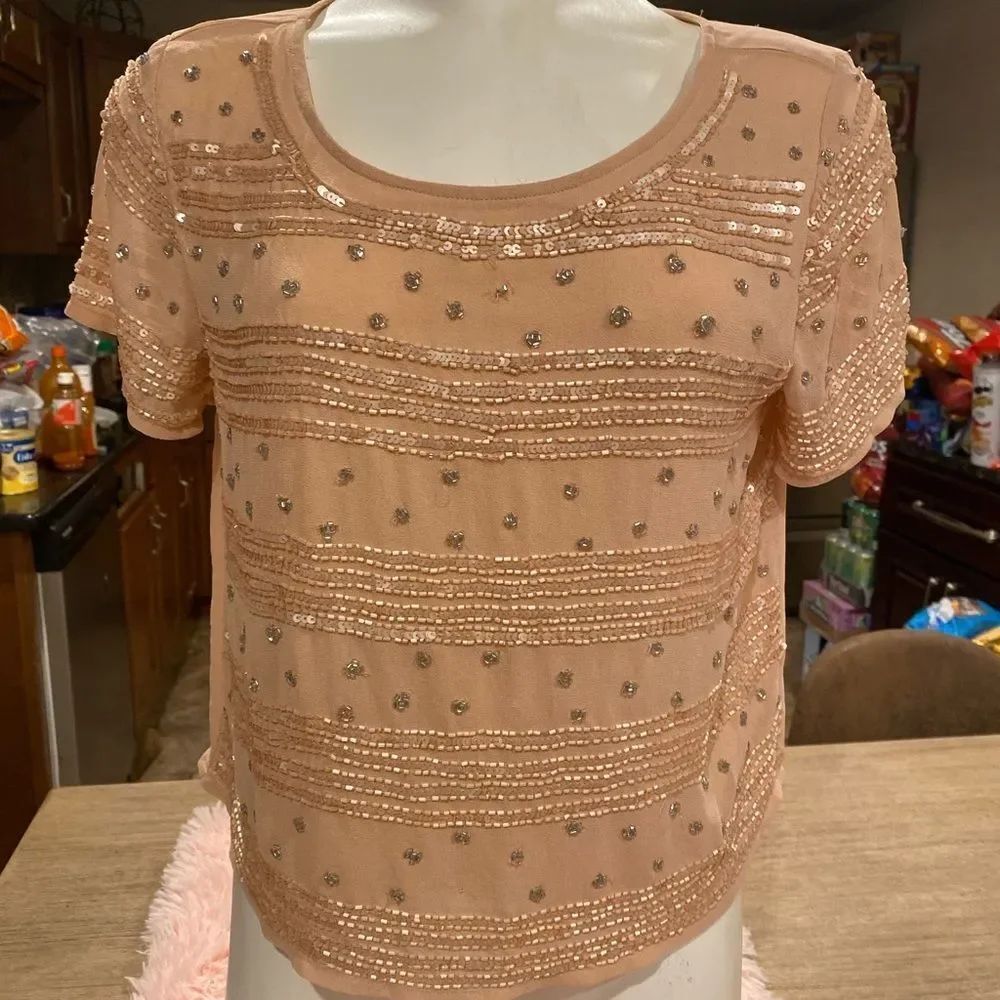 Forever 21 Beaded Sequin Sheer Blouse Top Nude Pink Short Sleeve Size M